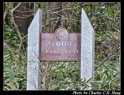 北海道賞櫻–Day 3–函館八幡宮