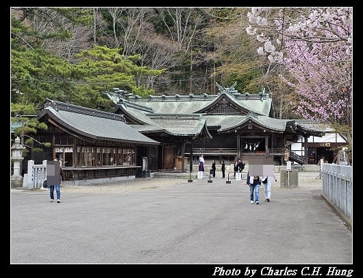 北海道賞櫻–Day 3–函館八幡宮