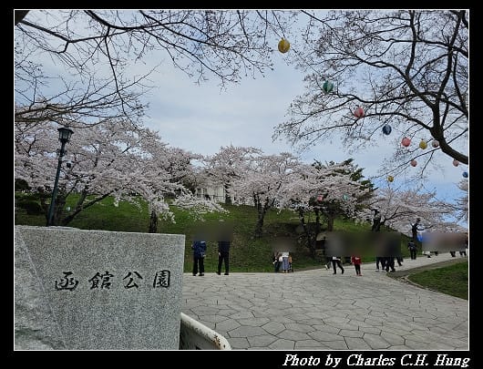 北海道賞櫻–Day 3–函館八幡宮