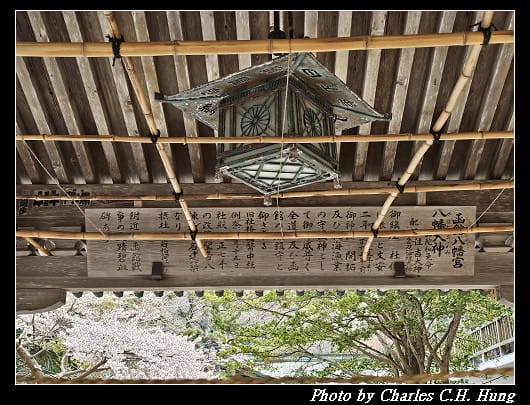 北海道賞櫻–Day 3–函館八幡宮