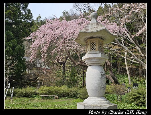 北海道賞櫻–Day 3–函館八幡宮