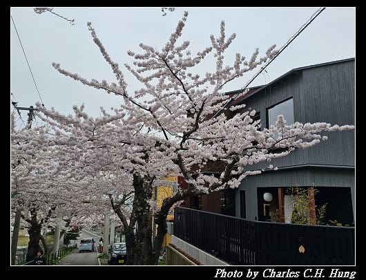 北海道賞櫻–Day 3–住三吉神社 - 第36張圖 北海道賞櫻–Day 3–住三吉神社