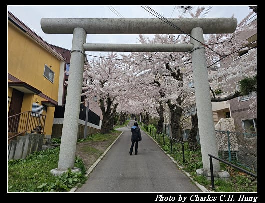 北海道賞櫻–Day 3–住三吉神社 - 第10張圖 北海道賞櫻–Day 3–住三吉神社