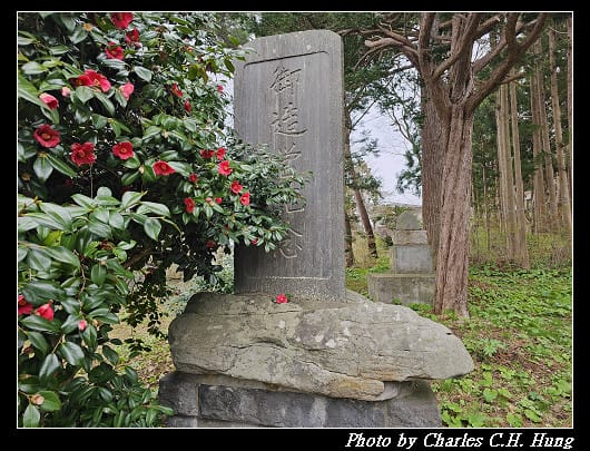北海道賞櫻–Day 3–住三吉神社 - 第27張圖 北海道賞櫻–Day 3–住三吉神社