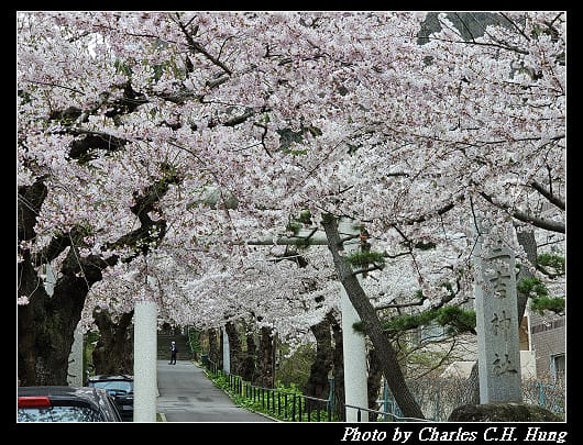 北海道賞櫻–Day 3–住三吉神社 - 第41張圖 北海道賞櫻–Day 3–住三吉神社