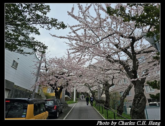 北海道賞櫻–Day 3–住三吉神社 - 第3張圖 北海道賞櫻–Day 3–住三吉神社