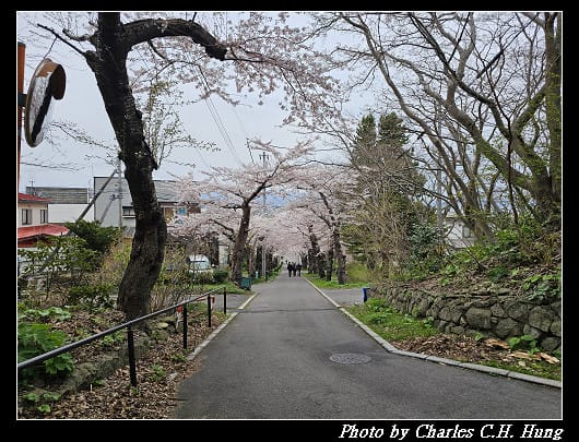 北海道賞櫻–Day 3–住三吉神社 - 第21張圖 北海道賞櫻–Day 3–住三吉神社