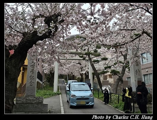北海道賞櫻–Day 3–住三吉神社 - 第9張圖 北海道賞櫻–Day 3–住三吉神社