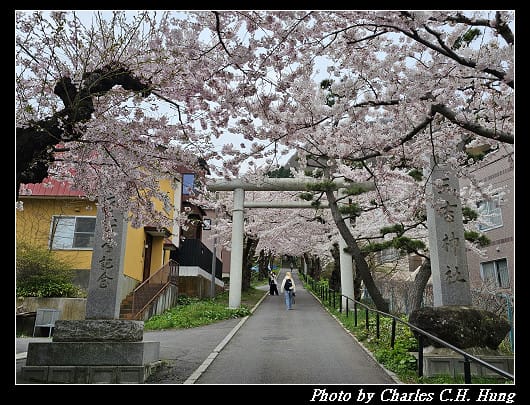 北海道賞櫻–Day 3–住三吉神社 - 第4張圖 北海道賞櫻–Day 3–住三吉神社