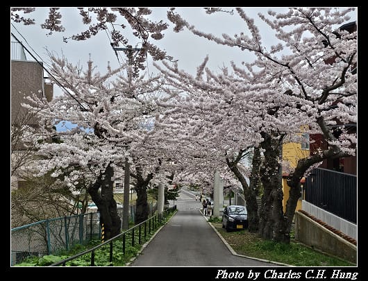 北海道賞櫻–Day 3–住三吉神社 - 第35張圖 北海道賞櫻–Day 3–住三吉神社