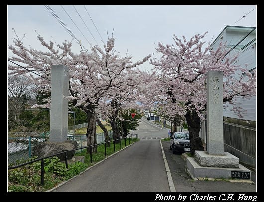 北海道賞櫻–Day 3–住三吉神社 - 第7張圖 北海道賞櫻–Day 3–住三吉神社
