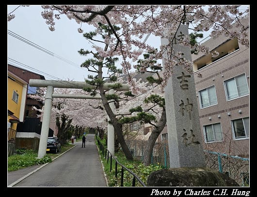 北海道賞櫻–Day 3–住三吉神社 - 第5張圖 北海道賞櫻–Day 3–住三吉神社