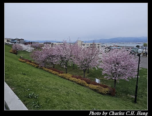 北海道賞櫻–Day 3–函館元町散策（舊英國領事館、舊北海道廳函館支廳廳舍、元町公園、舊函館區公會堂、培里提督來航紀念碑、舊相馬家住宅）