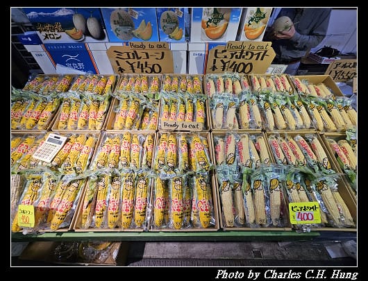 北海道賞櫻–Day 4–函館朝市