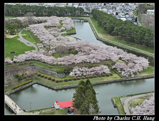 北海道賞櫻–Day 4–五稜郭塔（五稜郭タワー）、五稜郭公園