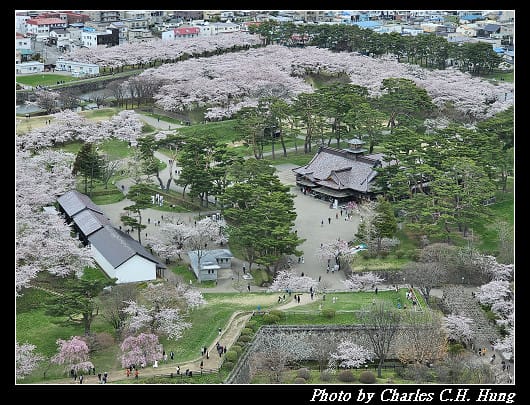 北海道賞櫻–Day 4–五稜郭塔（五稜郭タワー）、五稜郭公園
