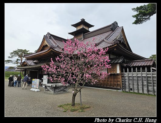 北海道賞櫻–Day 4–五稜郭塔（五稜郭タワー）、五稜郭公園
