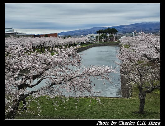 北海道賞櫻–Day 4–五稜郭塔（五稜郭タワー）、五稜郭公園