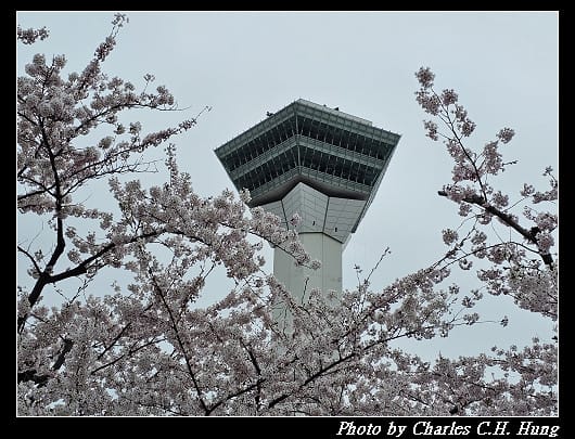 北海道賞櫻–Day 4–五稜郭塔（五稜郭タワー）、五稜郭公園