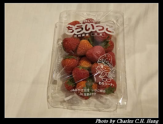 北海道賞櫻–Day 4–戰利品