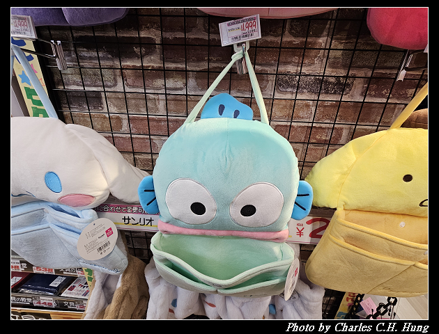北海道賞櫻–Day 5–狸小路