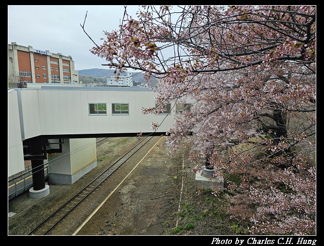 北海道賞櫻–Day 6–JR南小樽駅 賞櫻