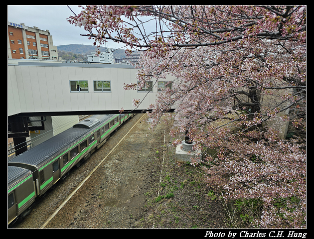 北海道賞櫻–Day 6–JR南小樽駅 賞櫻
