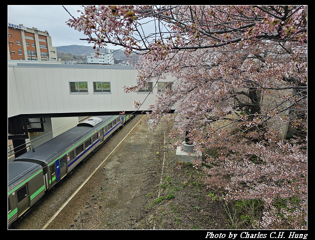 北海道賞櫻–Day 6–JR南小樽駅 賞櫻