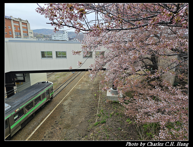 北海道賞櫻–Day 6–JR南小樽駅 賞櫻