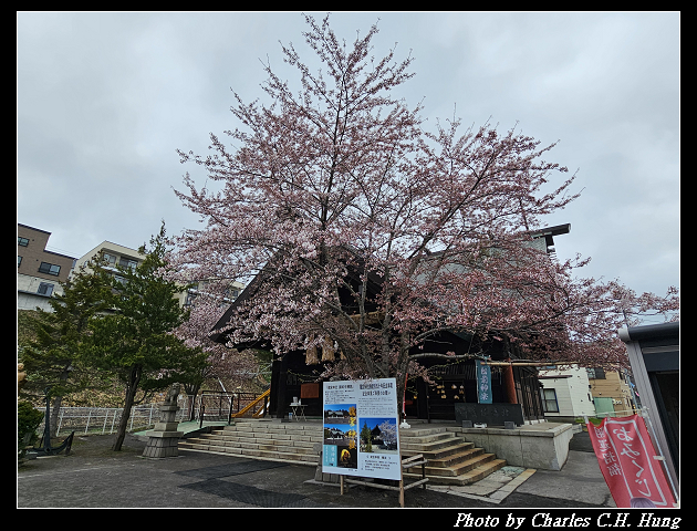 北海道賞櫻–Day 6–龍宮神社