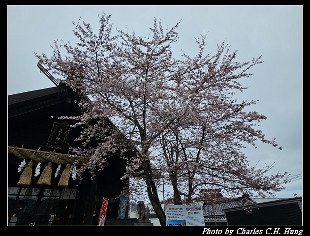 北海道賞櫻–Day 6–龍宮神社