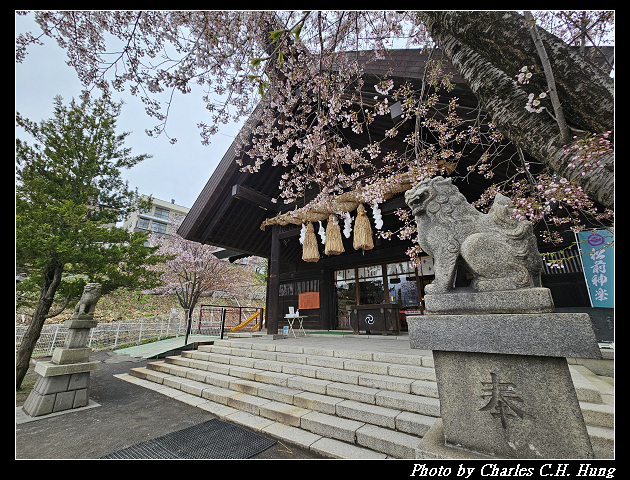 北海道賞櫻–Day 6–龍宮神社