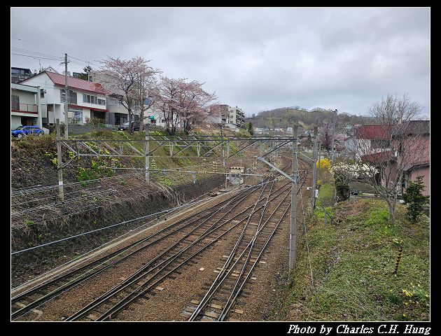 北海道賞櫻–Day 6–船見坂