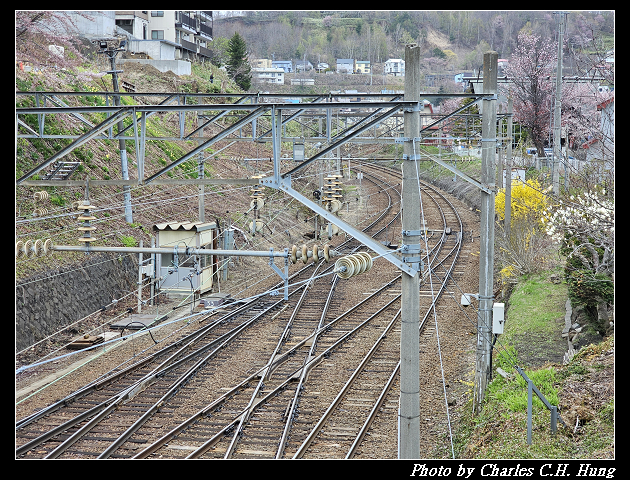 北海道賞櫻–Day 6–船見坂