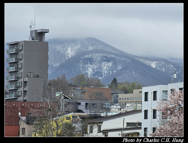 北海道賞櫻–Day 6–船見坂