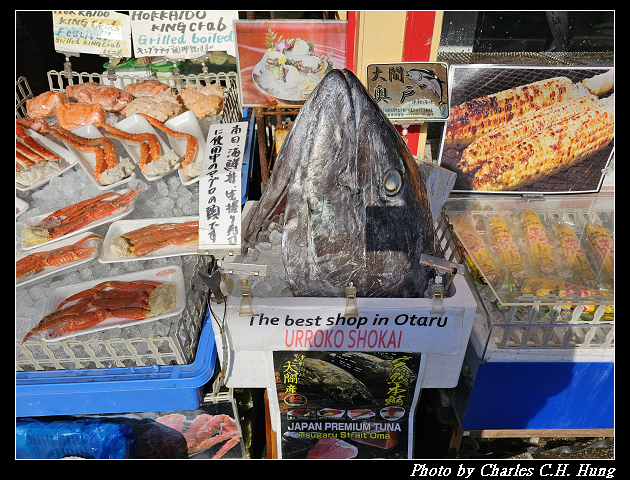 北海道賞櫻–Day 6–堺町本通り - 第9張圖 北海道賞櫻–Day 6–堺町本通り