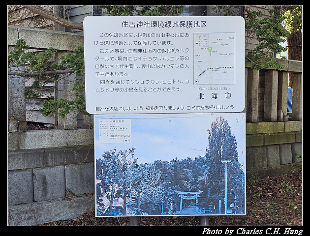 北海道賞櫻–Day 6–小樽總鎮守 小樽住吉神社