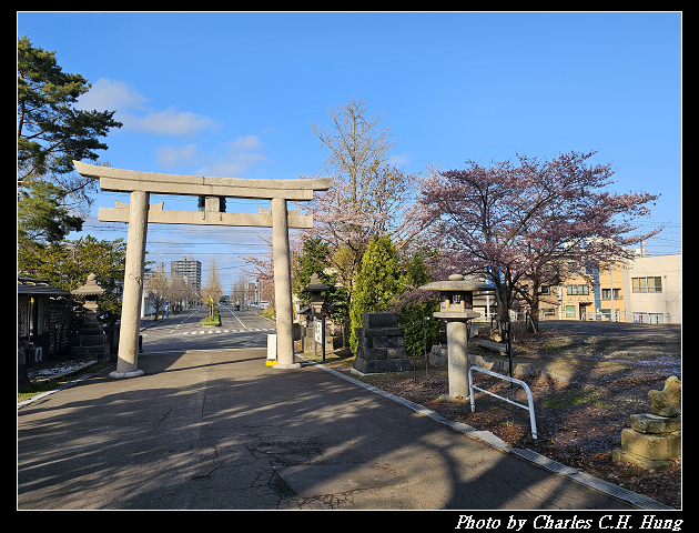 北海道賞櫻–Day 6–小樽總鎮守 小樽住吉神社