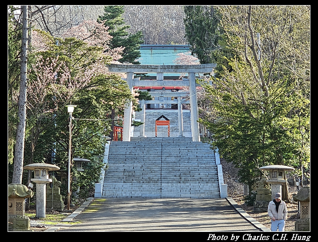 北海道賞櫻–Day 6–小樽總鎮守 小樽住吉神社