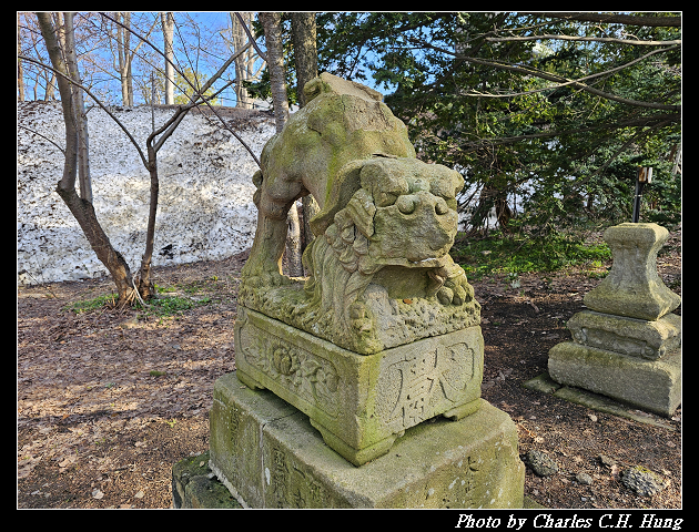 北海道賞櫻–Day 6–小樽總鎮守 小樽住吉神社