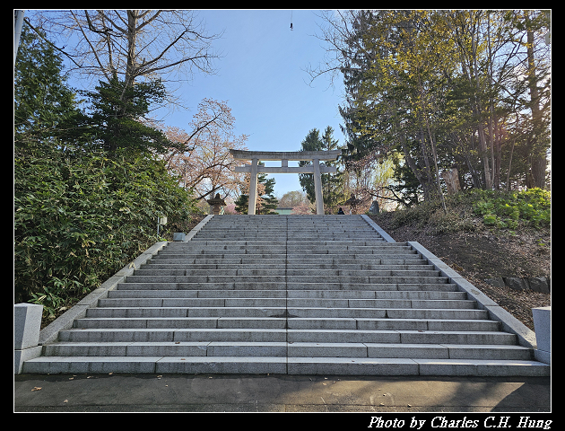 北海道賞櫻–Day 6–小樽總鎮守 小樽住吉神社