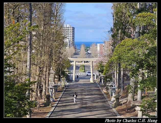 北海道賞櫻–Day 6–小樽總鎮守 小樽住吉神社