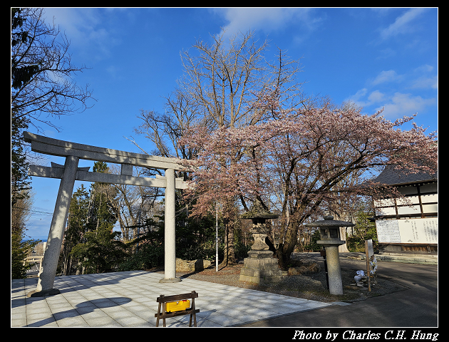 北海道賞櫻–Day 6–小樽總鎮守 小樽住吉神社