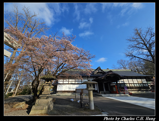 北海道賞櫻–Day 6–小樽總鎮守 小樽住吉神社