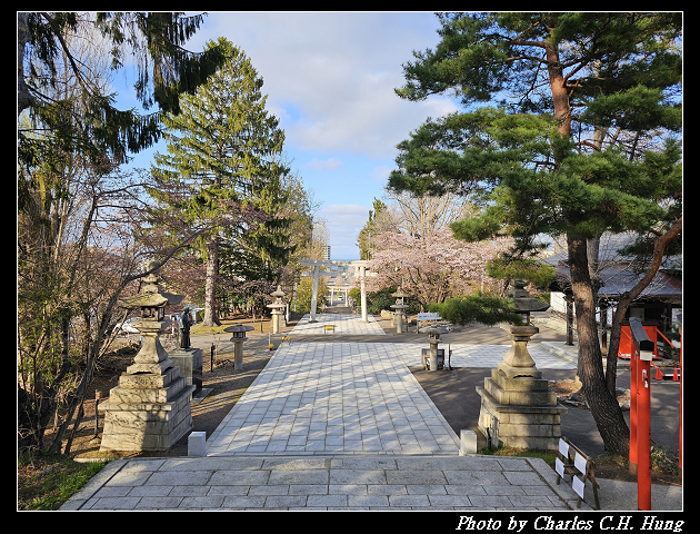 北海道賞櫻–Day 6–小樽總鎮守 小樽住吉神社