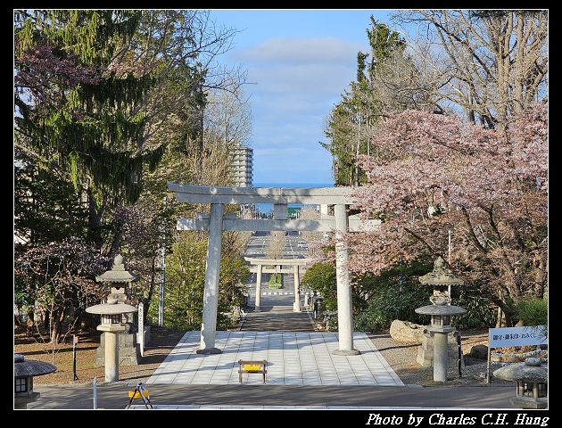 北海道賞櫻–Day 6–小樽總鎮守 小樽住吉神社
