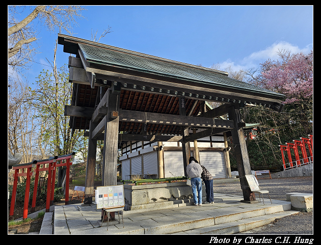 北海道賞櫻–Day 6–小樽總鎮守 小樽住吉神社