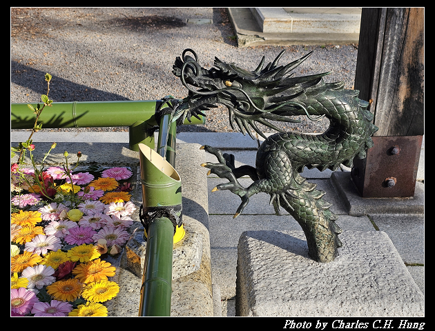北海道賞櫻–Day 6–小樽總鎮守 小樽住吉神社