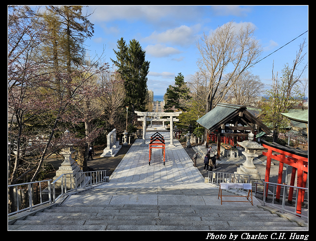 北海道賞櫻–Day 6–小樽總鎮守 小樽住吉神社