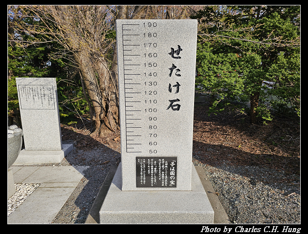 北海道賞櫻–Day 6–小樽總鎮守 小樽住吉神社